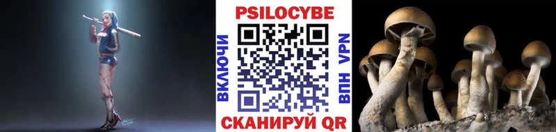 блэк спрут   Барыш  Галлюциногенные грибы мухоморы  купить  